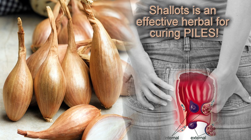 Shallots a herbal to cure piles effectually!