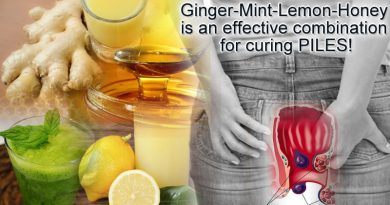 Usefulness of Ginger-Mint-Lemon-Honey mixture in curing piles issues!