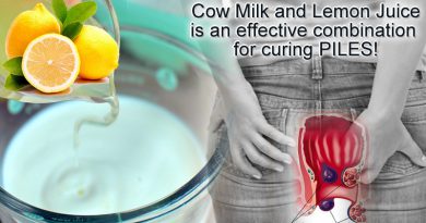 Efficacy of Cow Milk and Lemon Juice in curing piles problems!