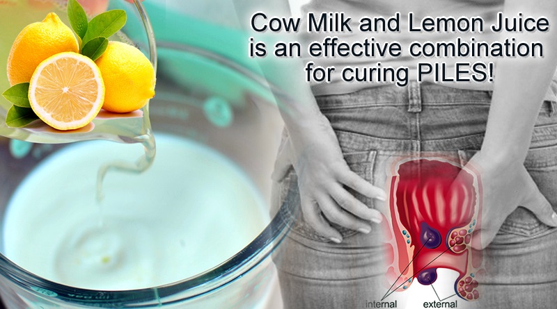 Efficacy of Cow Milk and Lemon Juice in curing piles problems!