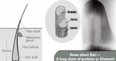 Know about Hair, its problems and treatments