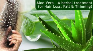 Use of Aloe Vera for hair loss treatment!