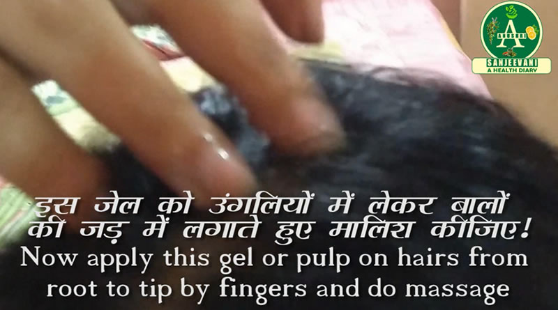 Do massage with gel of Aloe Vera for hair loss treatment!