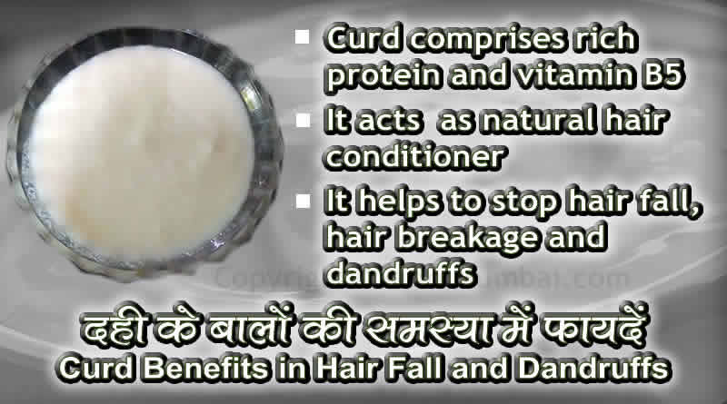 Curd benefits in hair fall and dandruffs