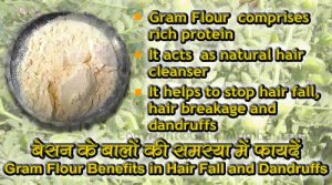 Gram flour benefits in hair fall and dandruffs