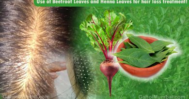 Information about Use of Use of Henna Leaves and Beetroot Leaves for hair loss treatment!