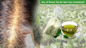 Information about Use of Use of Green Tea for hair loss treatment!