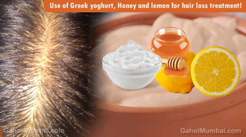 Use of Greek yoghurt, Honey and lemon for hair loss treatment! – GAHOIMUMBAI