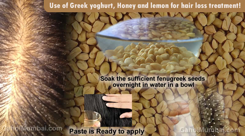 Use of Fenugreek or Methi Seeds for hair loss treatment! – GAHOIMUMBAI