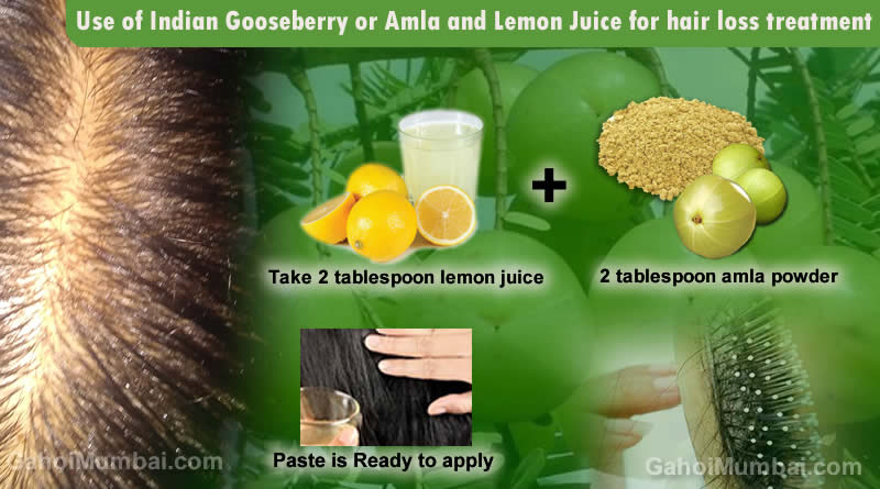 Use of Indian Gooseberry or Amla and Lemon Juice for hair loss remedy! –  GAHOIMUMBAI