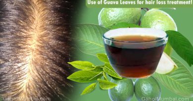 Information about Use of Guava Leaves for hair loss treatment