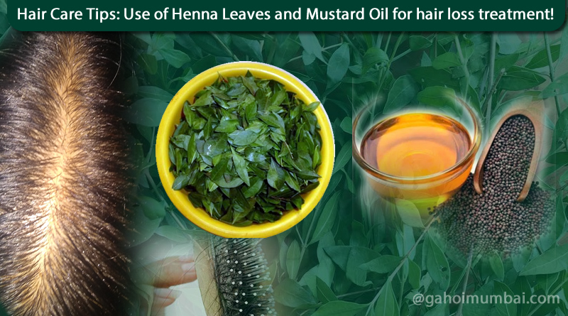 Natural Hair Mask: Use of Henna Leaves and Mustard Oil for hair loss  treatment! – GAHOIMUMBAI