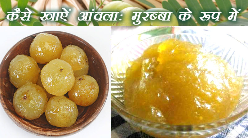Eat One Indian Gooseberry daily is like a Sanjeevani for life!