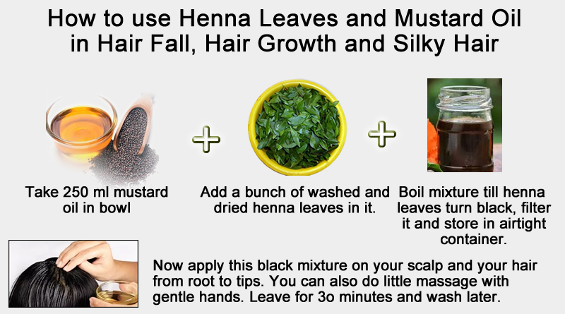 Natural Hair Mask: Use of Henna Leaves and Mustard Oil for hair loss  treatment! – GAHOIMUMBAI