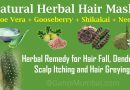 Use of Aloe Vera, Indian Gooseberry, Shikakai and Neem Powder in hair loss treatment!