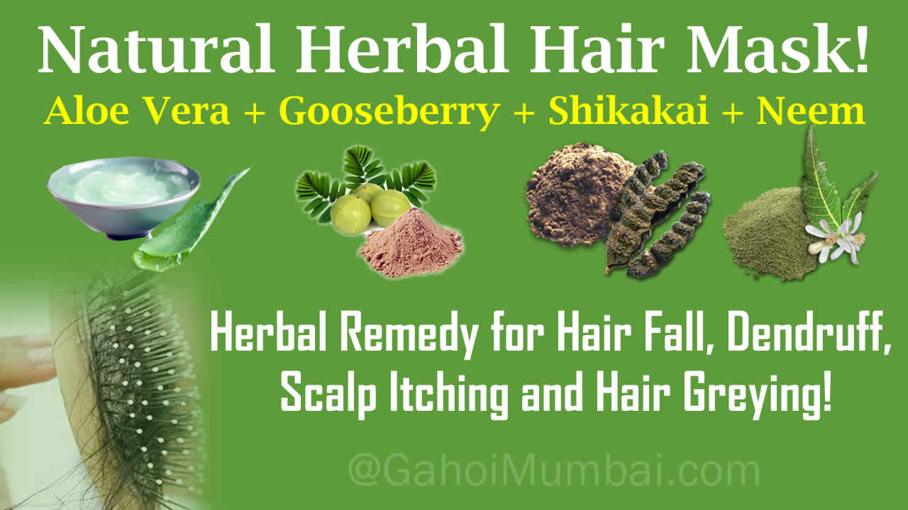 Use of Aloe Vera, Indian Gooseberry, Shikakai and Neem Powder in hair loss  herbal remedy! – GAHOIMUMBAI