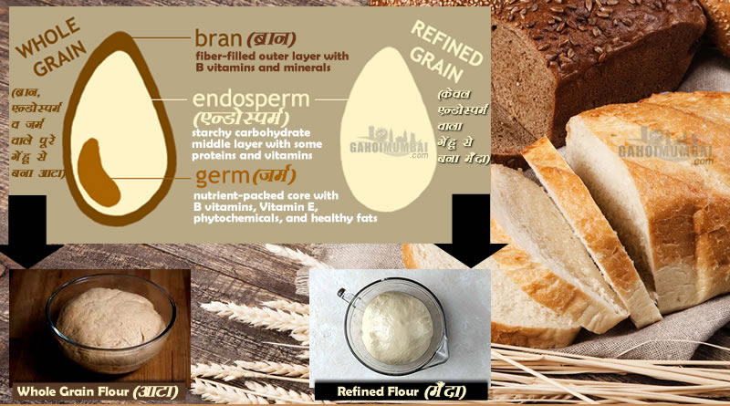 Brown Bread vs White Bread: Know about which one is better and healthier!