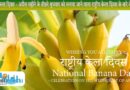 Know about National Banana Day and its History, Jokes, Cuisine, Playlist and Celebration!